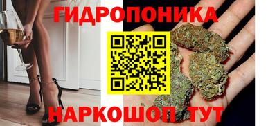 прущие грибы Ирбит