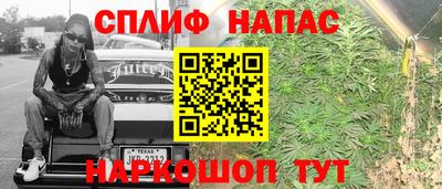 прущие грибы Ирбит