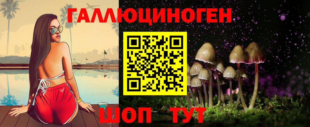Лабинск  Псилоцибиновые грибы MAGIC MUSHROOMS  Вход с VPN  Галлюциногенные грибы Psilocybe 